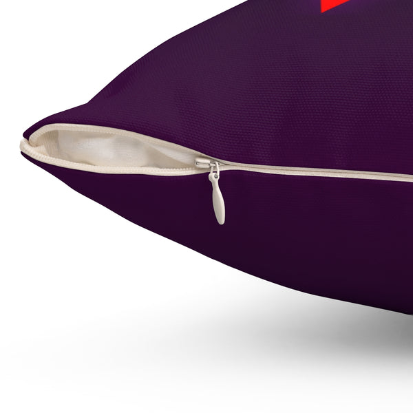 Retro 2 Pillow